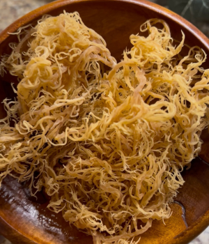 Sea Moss Website Photos